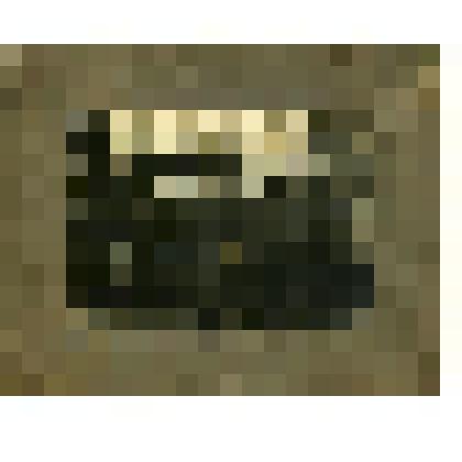 Фотография. Группа железнодорожников станции Москворечье Курской железной дороги