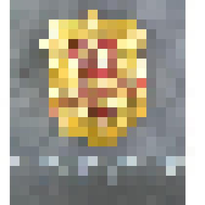 Знак "Дружинник"