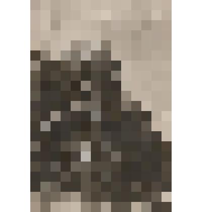 Фотография. Марбумкомбинат. Цех непрерывной варки