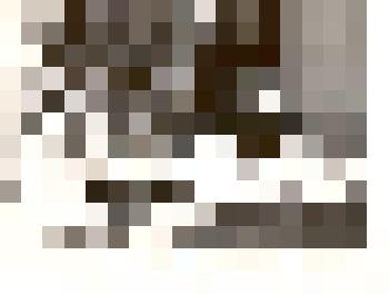 Фотография: заседание актива стройотряда "ВИТА-76" Каменского медицинского училища