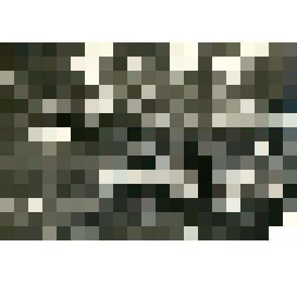 Фотография. Разделка рыбы. Кумах сурт