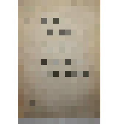 Книга. Вредные и полезные в сельском хозяйстве млекопитающие. 20-я типография ОГИЗа им. Евг.Соколовой