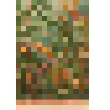 Иллюстрация. Таблица № 72. Выпуск "14-16".
 Из комплекта таблиц "Красота форм в природе"