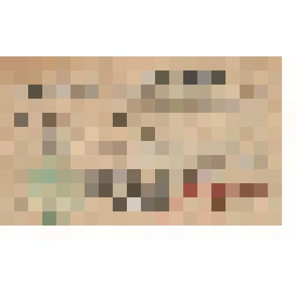 Документ. Удостоверение № 2300 Политического отдела 2-й армии Лебедеву Федору Парфеновичу в том, что он действительно является политработником резерва. 
 Из коллекции материалов о Лебедеве Федоре Парфеновиче (1899-1947), уроженце деревни Шеломово Николаев