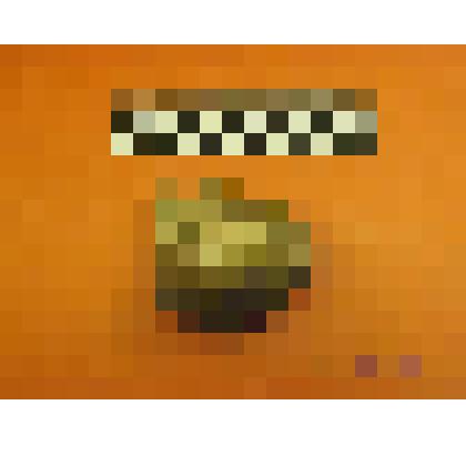 заготовка каменного орудия