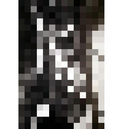 Фотонегатив. Из комплекта: Архив Н.И. Артеменко-Толстой