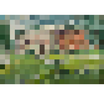 Брестская крепость