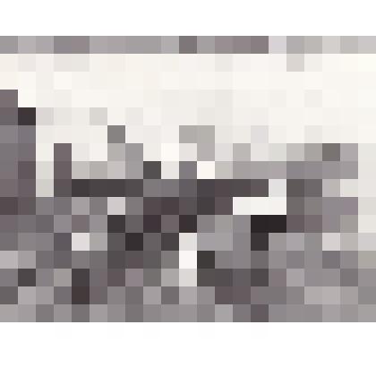 Фотография "Обед у сплавщиков"