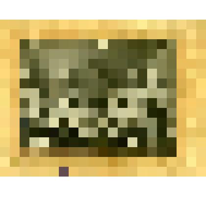 Фото на паспарту