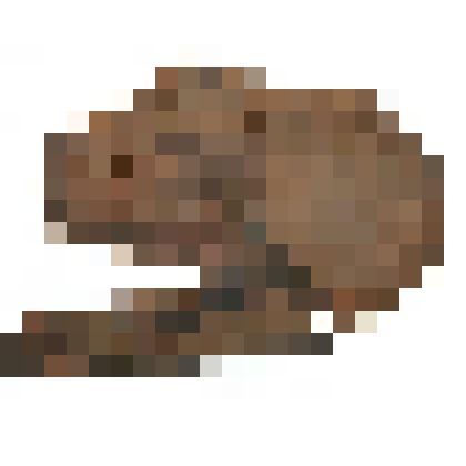 Туфель. Подошва и головка. Коллекция из раскопок городища Мангазея 2009 г