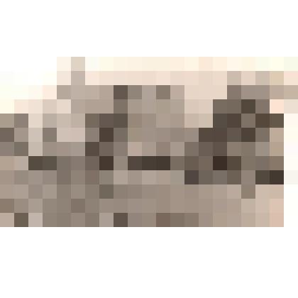 Фотография. Здание элеватора, построенного в 1896 году