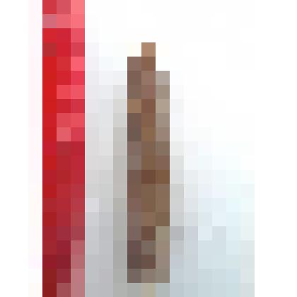 Ростр белемнита