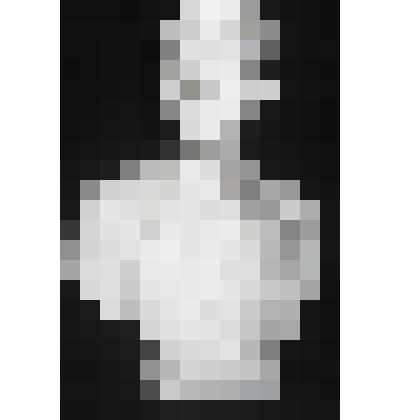 Бюст. А.М.Горький