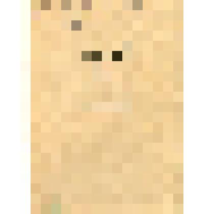 Папка. Переписка В.А. Корнеева с Тамбовской областной библиотекой