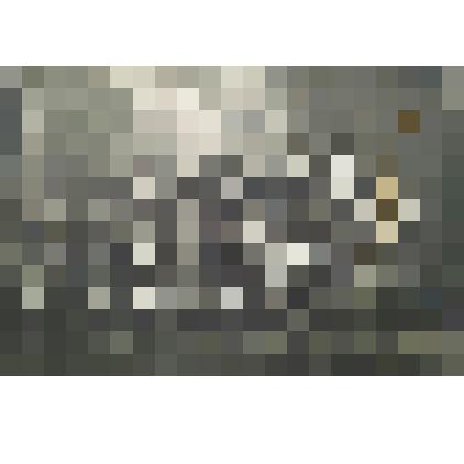 Фотография групповая. Выпускники Епархиального Владимирского женского училища. Во 2-м ряду сверху 3-я Зоя Полторацкая