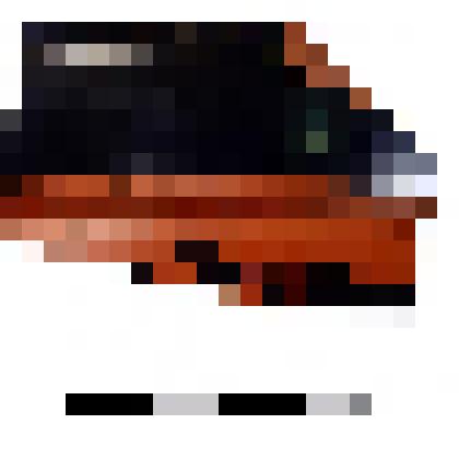 Скифоса чернофигурного венец