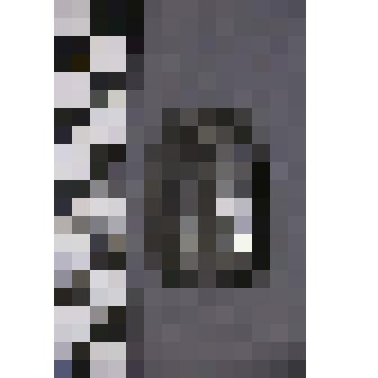 коллекция В.Ф. Лагодича. Талисман каменный лежачий, выполнен в виде головы человека. Камень черного цвета