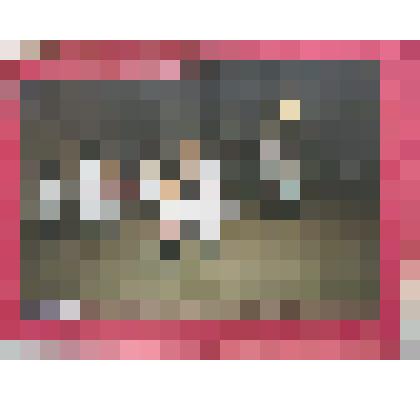 Фотография. Младшая группа хореографического отделения