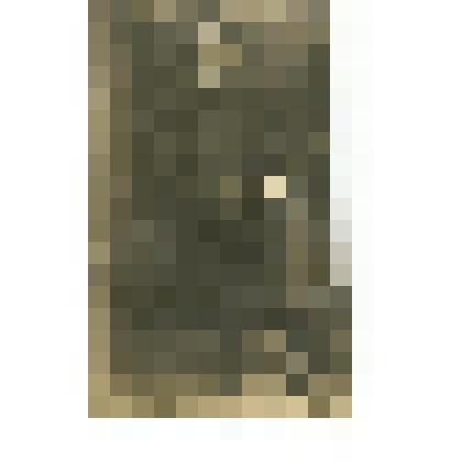 Фотооткрытка. Портрет Дмитрия Александровича Быстролетова (1901 - 1975 гг.), студента юридического факультета Пражского Университета