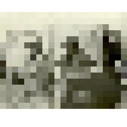 Фото. Весенний сев в колхозе "Сакмар"