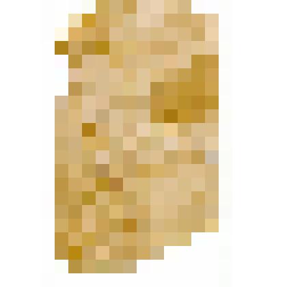 Фотография. Якутский шаман. Вилюйский округ