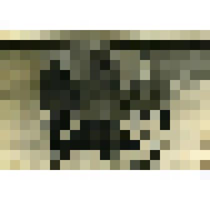 Фотография. Колхозники колхоза «Огородный гигант»  около гаража на Большой улице села Коломенского