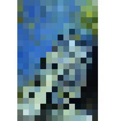 Автопортрет