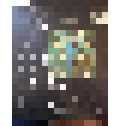 Грампластинка "Летучая мышь"