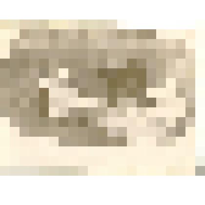 Фотография: учебная практика студентов Каменского зооветтехникума в городской ветеринарной лечебнице