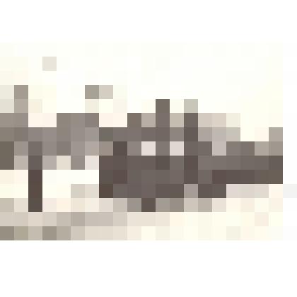 Фотография. Демонстрация 7 ноября 1967 года в г.Камне-на-Оби Алтайского края