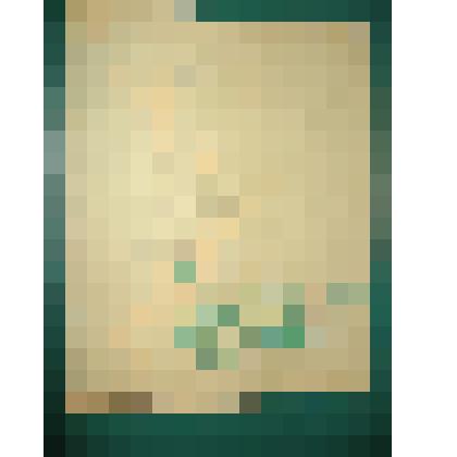 Воспоминания  зав. роно Соловьева Николая Дмитриевича о работе  школ бывшего Издешковского района  (1959 - 1961 г.г.)