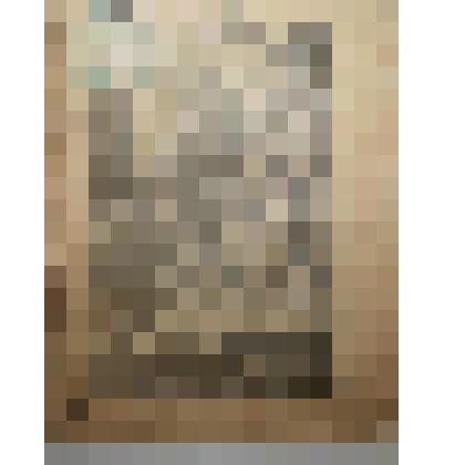 Книга. О насекомых вредящих лесам и меры их истребления.  Печатня А.Снегиревой