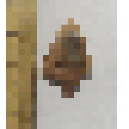 Наконечник стрелы