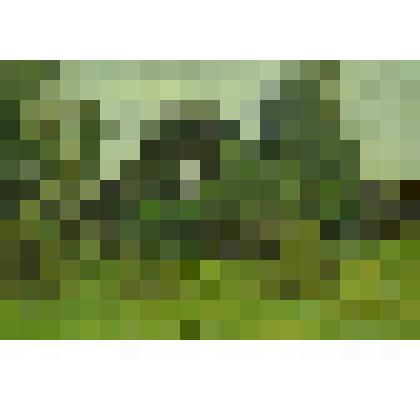 Картина. Лето