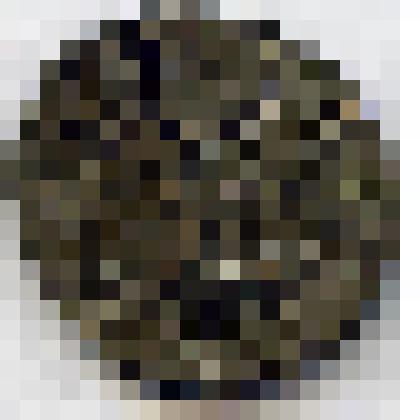 Монета. Антиохия. Боэмунд III Заика (1160-1201), денарий