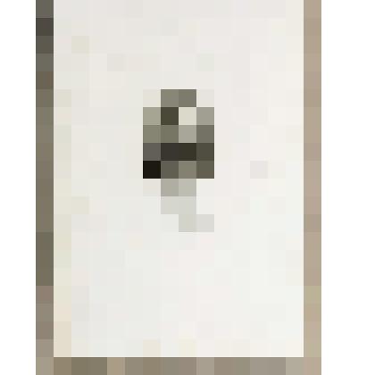 Портрет Д.А. Милютина