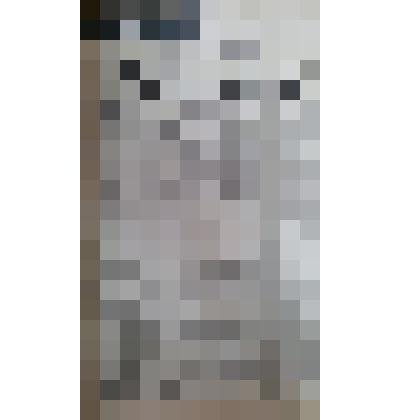 Газета "Адлерская правда"
№44 (3160) от 13.04.1960 г