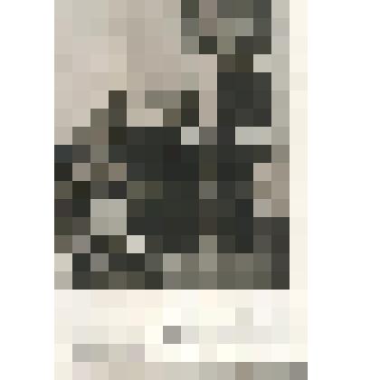 Открытка. Л. Н. Толстой и доктор Маковицкий. Репродукция с фотографии В.Г.Черткова. 1909г