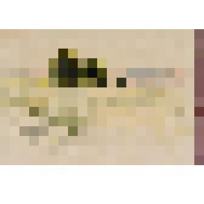 Деревья в лугах