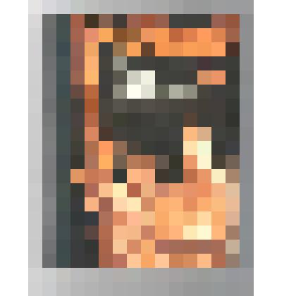 Книги. Книга "Белка из Ольховки". - Москва: Детская литература, 1973