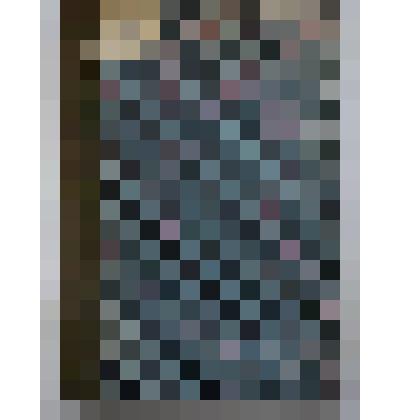 Книга. Выращивание ценных и декоративных пород птицы. Практическое руководство к разведению в русских хозяйствах фазанов, павлинов, цесарок, страусов, декоративных гусей и уток и лебедей. Типография П.П.Сойкина