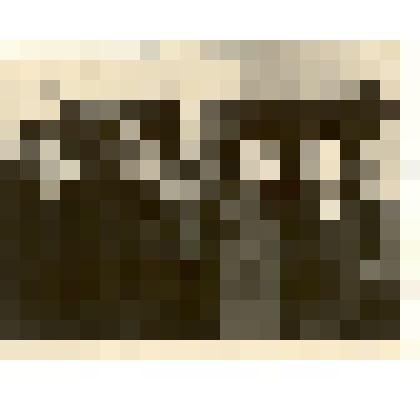 Фотография: лучшие шоферы совхоза "Октябрь" Каменского района Алтайского края Глебов П.Г., Лизунов Н.П., Кабанов П.А., Шестаков П.А., Шейнов Н.З