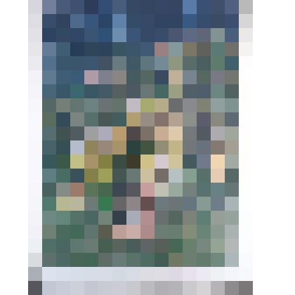 Вечерние краски