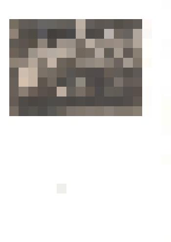 Фотография ч/б. Первый выпуск Тюменцевской образцовой средней школы им. А. М. Горького.  1936 г