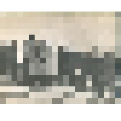 Возле памятника И.В.Мичурину