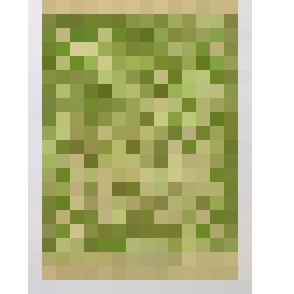 Расчетный знак РСФСР 3 рубля 1919 года