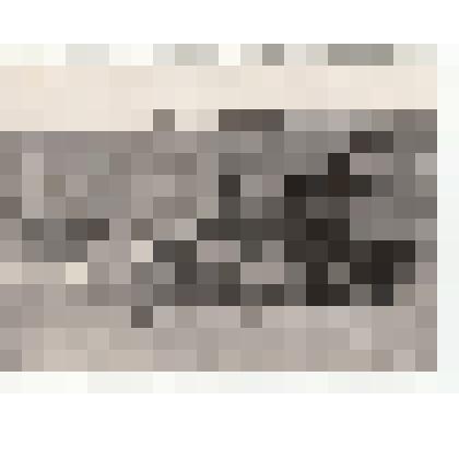 Фото/чб. Энгельсская опытно-мелиоративная станция (ВОЛЖНИИГИМ). Новый трактор с плугом. 1960-е