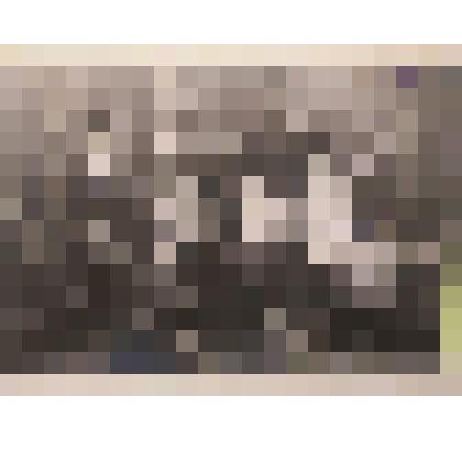 Фото. Семейный портрет Петра Иванова