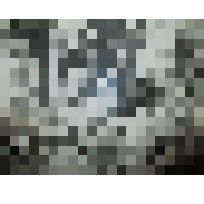 Фотография. А.С. Новиков- Прибой на охоте