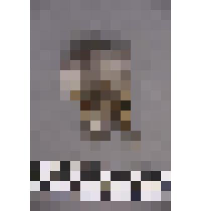 чеканка. Талисман на металлической пластине в виде продолговатого лица человека. волосы из меха.  В ушах кольца, на одном конусовидная подвеска полая внутри. На обратной стороне подложка из кожи. Вверху пластины закреплено металлическое кольцо